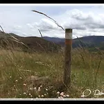 Nyaraló Morena